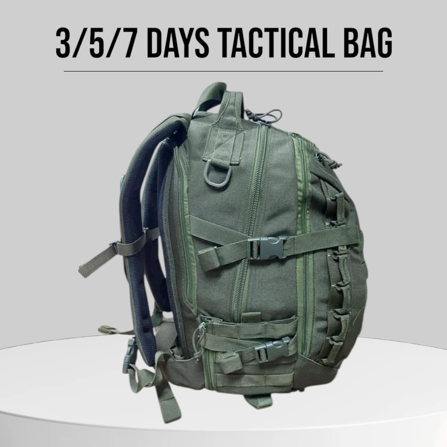 5 Days Dinosaur Egg Bags